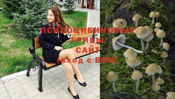 прущий лед Киреевск