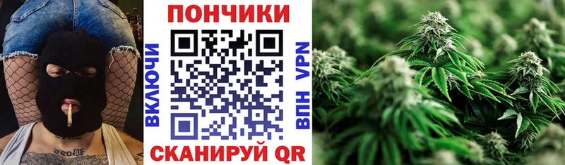 Купить закладки  Курильск  МАРИХУАНА марихуана 
